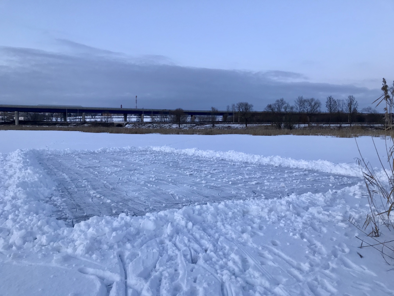rybník 30.1.2019[3].jpg